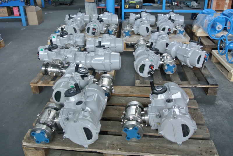 Control Valves & Actuators 2